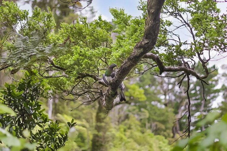 Photo of property in 72 Avro Road, Blue Mountains, Upper Hutt, 5371