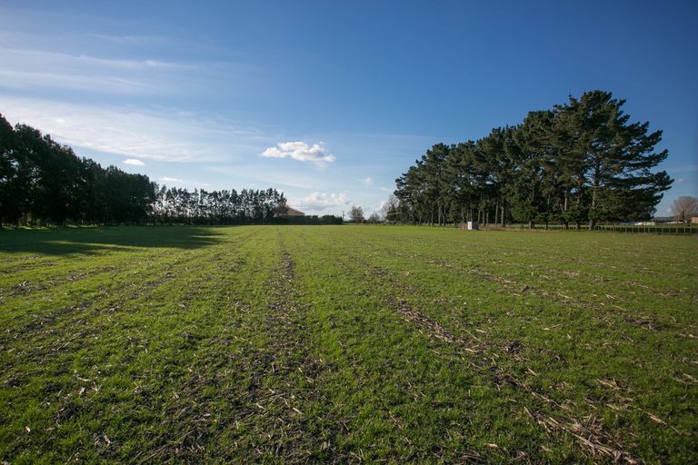 Photo of property in 773 Tauwhare Road, Tauwhare, Hamilton, 3287