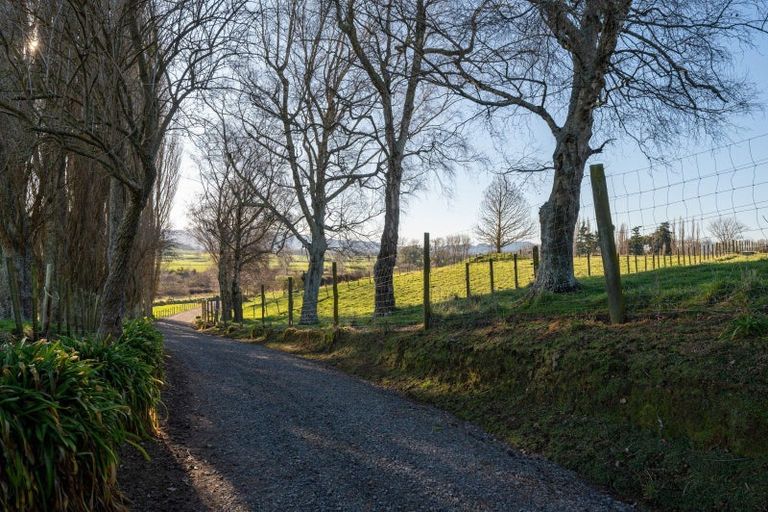 Photo of property in 29 Halcrow Road, Reporoa, 3081