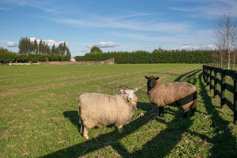 Photo of property in 773 Tauwhare Road, Tauwhare, Hamilton, 3287