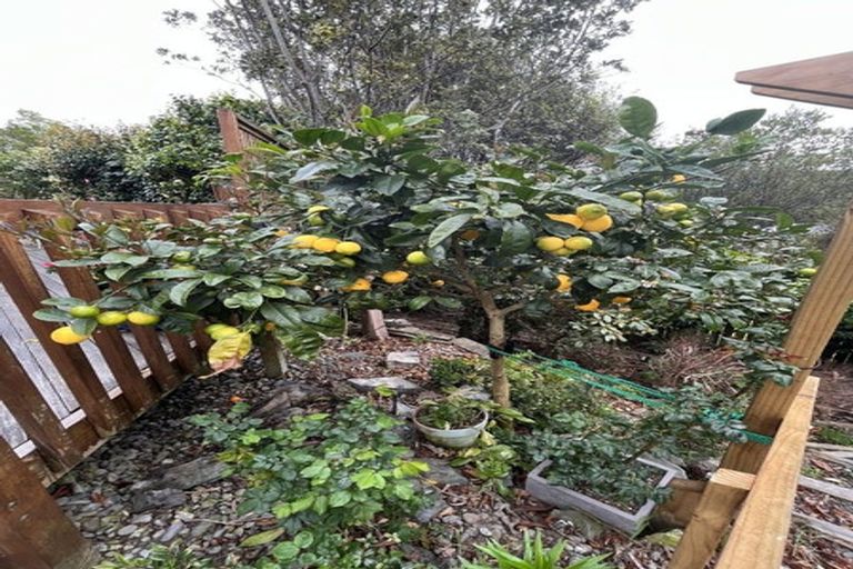 Photo of property in 9 Mariners Way, Whitby, Porirua, 5024