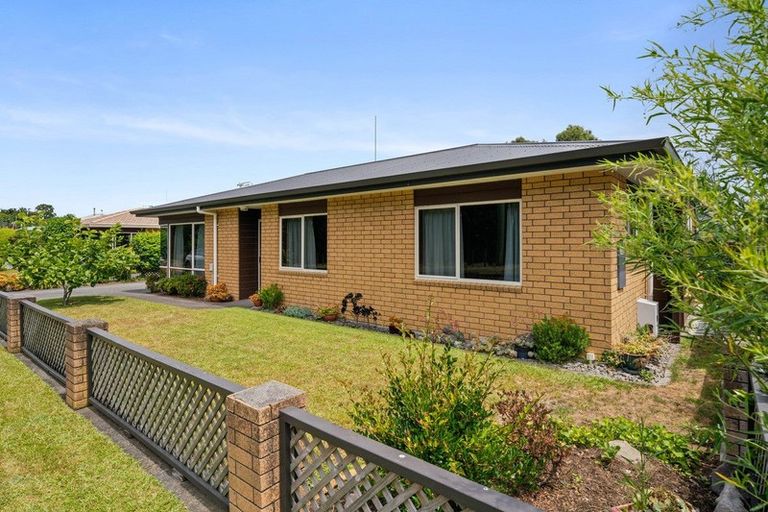 Photo of property in 13b Marshall Avenue, Greerton, Tauranga, 3112