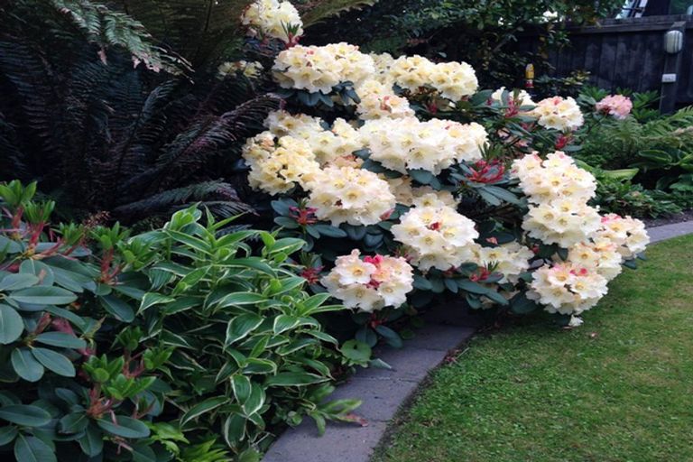 Photo of property in 7 Douglas Street, Lincoln, 7608