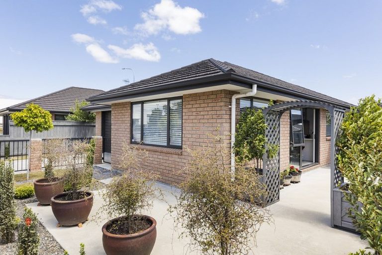 Photo of property in 84 Pascal Street, Takaro, Palmerston North, 4412