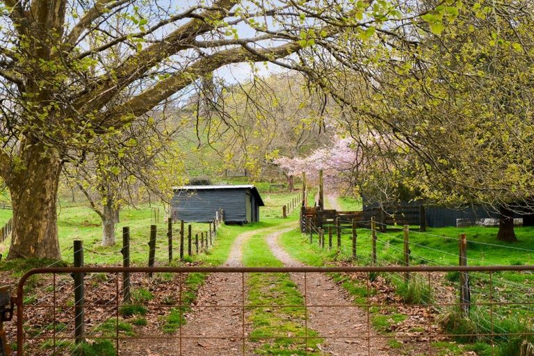 Photo of property in 207b State Highway 30, Tikitere, Rotorua, 3074