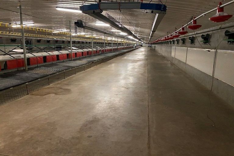 Photo of property in 116 Ngatimaru Road, Tikorangi, Waitara, 4383