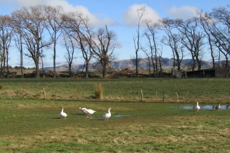 Photo of property in 61 Keillor Road, Waimate, 7980