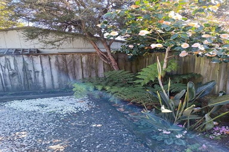 Photo of property in 107b Milton Street, The Wood, Nelson, 7010