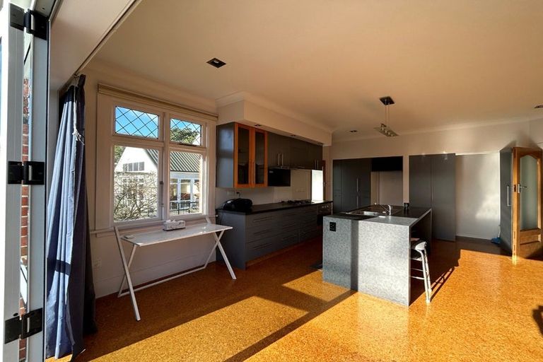 Photo of property in 113 Signal Hill Road, Opoho, Dunedin, 9010