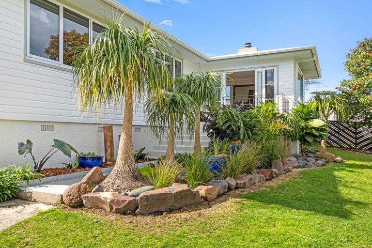 Photo of property in 7 Glenfield Place, Brookfield, Tauranga, 3110