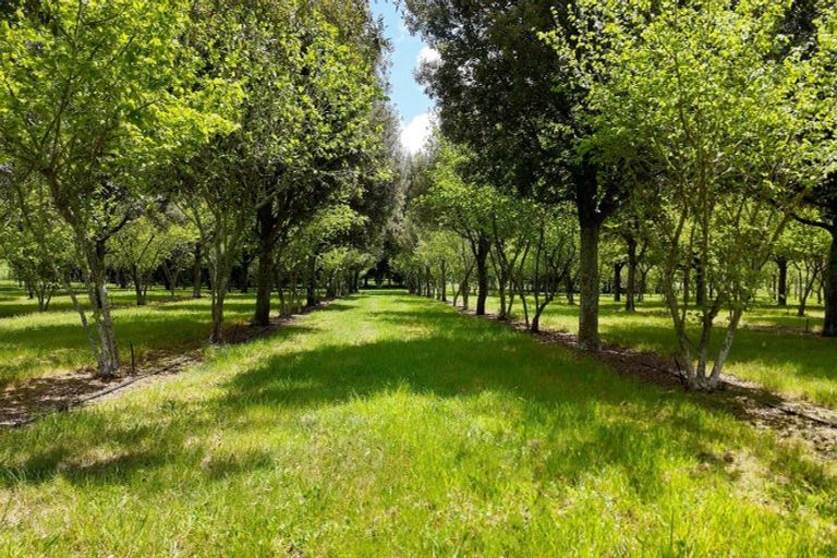 Photo of property in 1156 Braemar Road, Rotoma, Whakatane, 3192