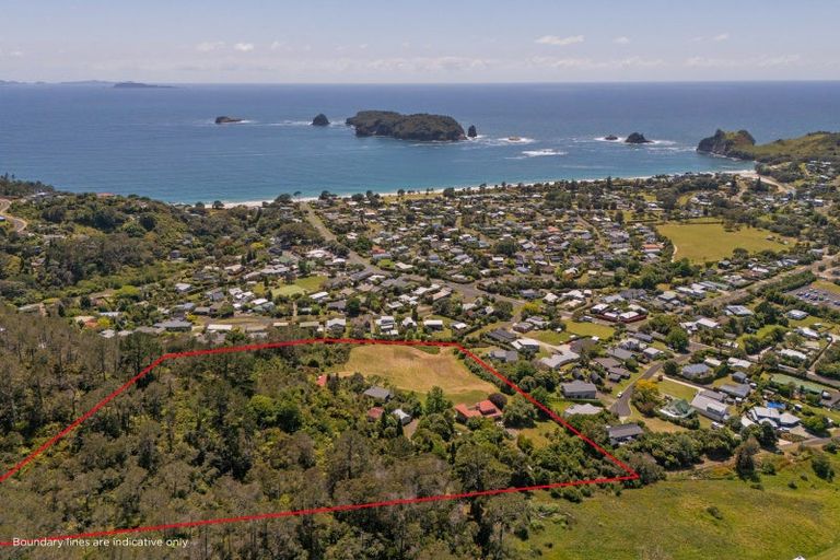 Photo of property in 92 Hahei Beach Road, Hahei, Whitianga, 3591