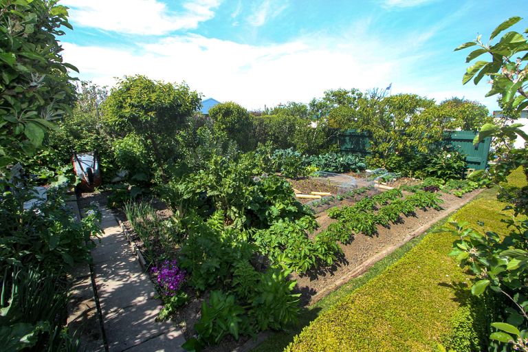 Photo of property in 19 Lismore Street, Oamaru North, Oamaru, 9400