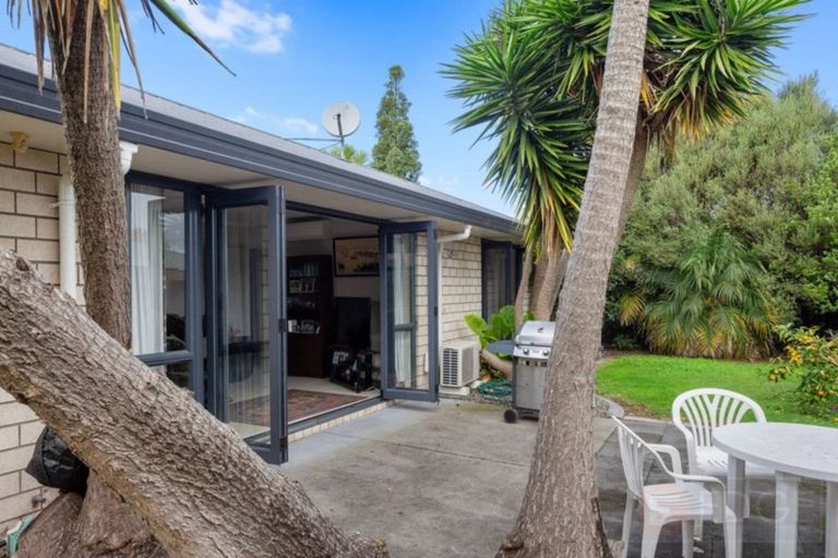 Photo of property in 55 Bridge Street, Whakatane, 3120