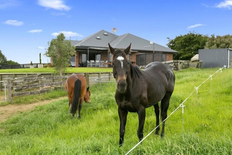 Photo of property in 150 Hicks Road, Maungatautari, Cambridge, 3494