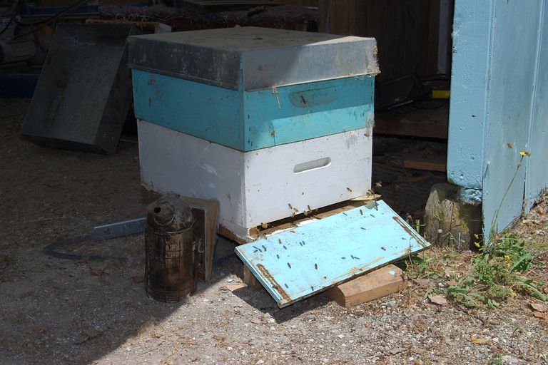 Photo of property in 99a Settlement Road, Kaiwaka, 0573