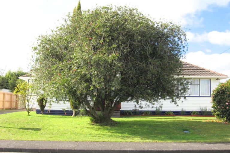 Photo of property in 6 Salas Place, Papakura, 2110