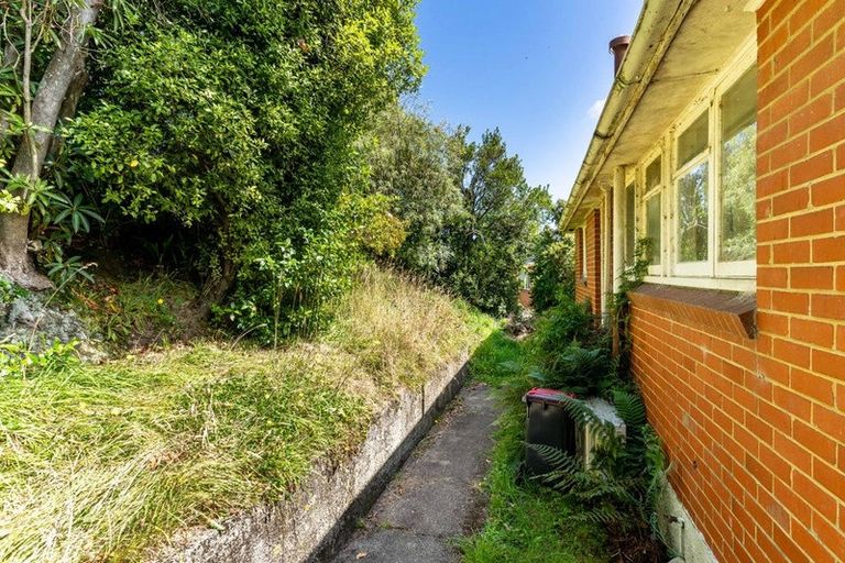 Photo of property in 18 Panmure Avenue, Calton Hill, Dunedin, 9012