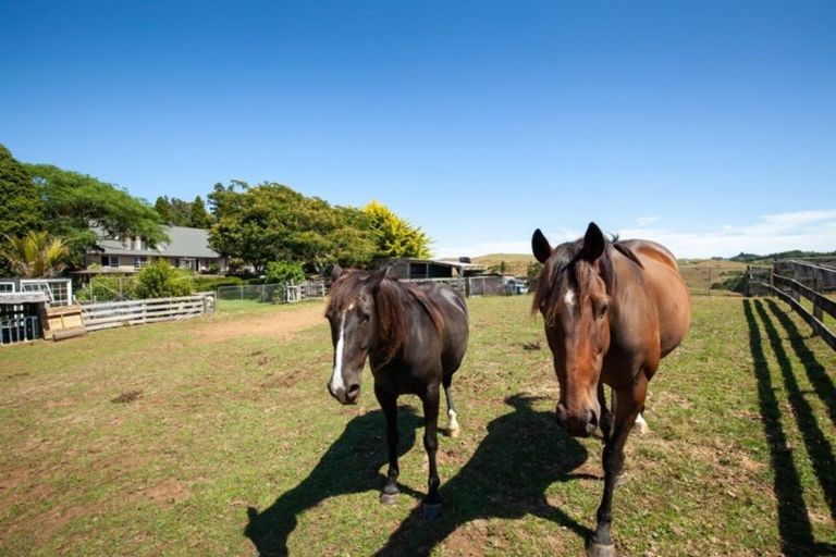 Photo of property in 58 Atkinson Road, Hurworth, New Plymouth, 4371