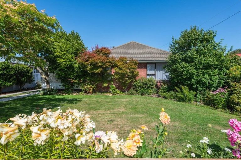 Photo of property in 25 Whitefield Street, Kaiapoi, 7630