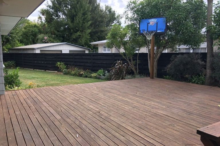 Photo of property in 49 Fitzroy Avenue, Fitzroy, Hamilton, 3206