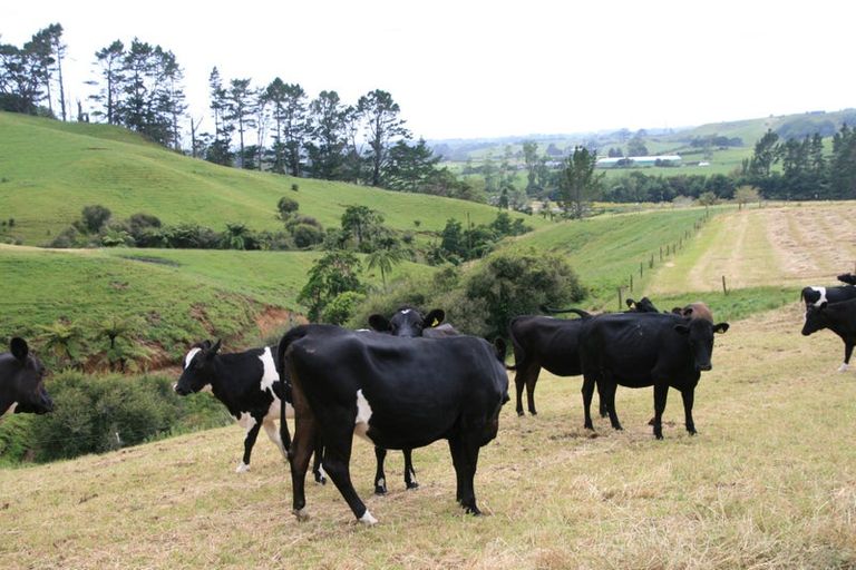 Photo of property in 862 Mountain Road, Waiongana, Inglewood, 4389