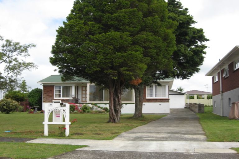 Photo of property in 17 Paterson Avenue, Pukekohe, 2120