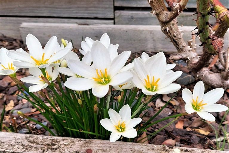 Photo of property in 254a Molesworth Drive, Mangawhai Heads, Mangawhai, 0505