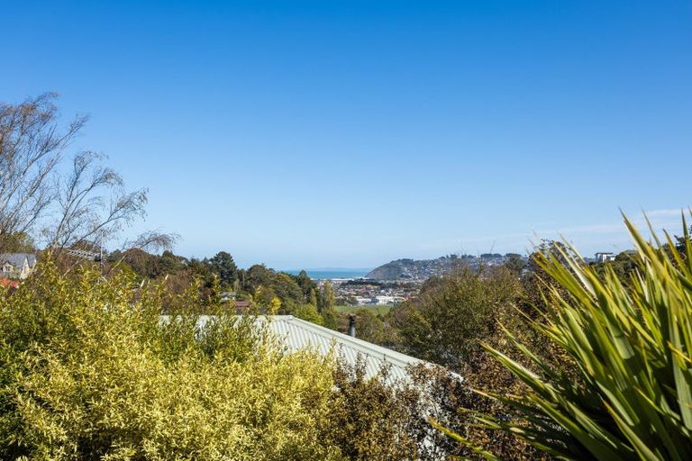 Photo of property in 170 Somerville Street, Waverley, Dunedin, 9013