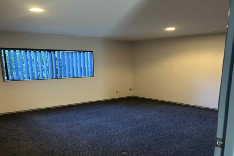 Photo of property in 14 Bush View Lane, Northcote Point, Auckland, 0627