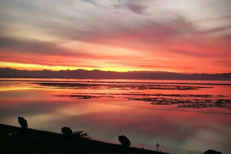 Photo of property in 324 Atawhai Drive, Atawhai, Nelson, 7010