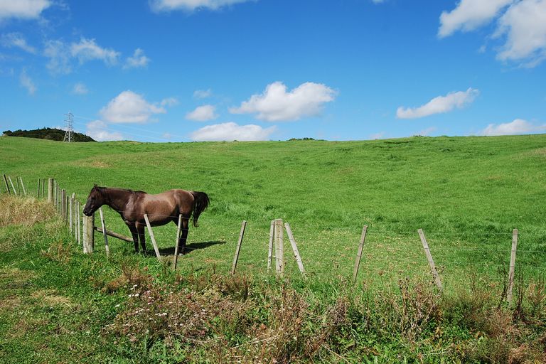 Photo of property in 62 Kiwi Lane, Kaiwaka, 0573