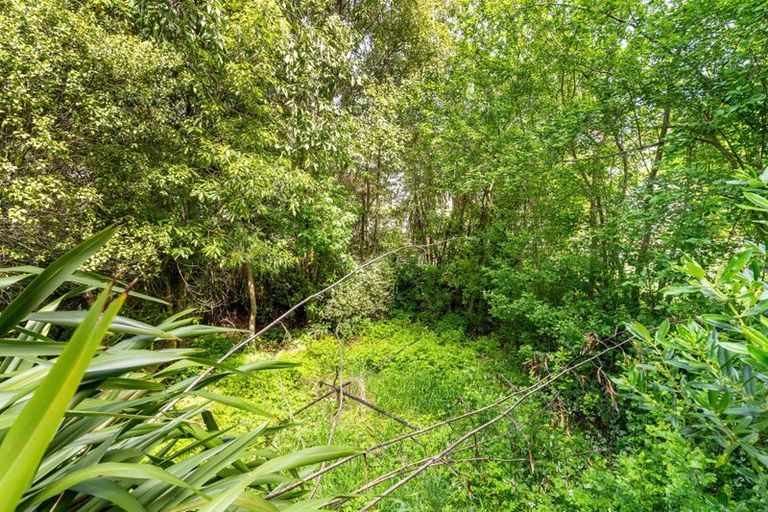 Photo of property in 16 Dalry Street, Mornington, Dunedin, 9011