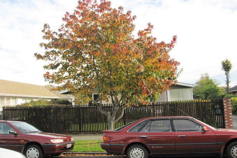 Photo of property in 25 Maidstone Road, Ilam, Christchurch, 8041