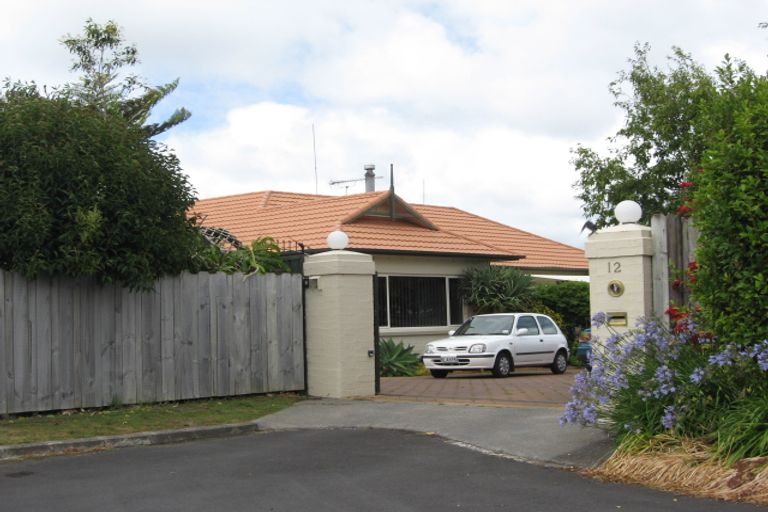 Photo of property in 12 Paterson Avenue, Pukekohe, 2120