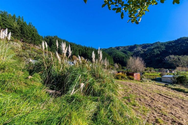 Photo of property in 1476 Port Underwood Road, Port Underwood, Picton, 7281