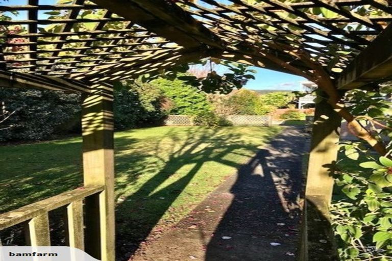 Photo of property in 50 Pagitt Street, Coromandel, 3506