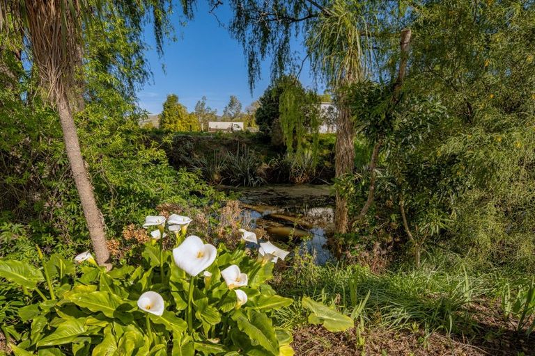 Photo of property in 43 Holdaway Street, Riversdale, Blenheim, 7201