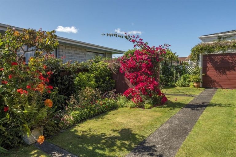 Photo of property in 14 Ridge Street, Otumoetai, Tauranga, 3110