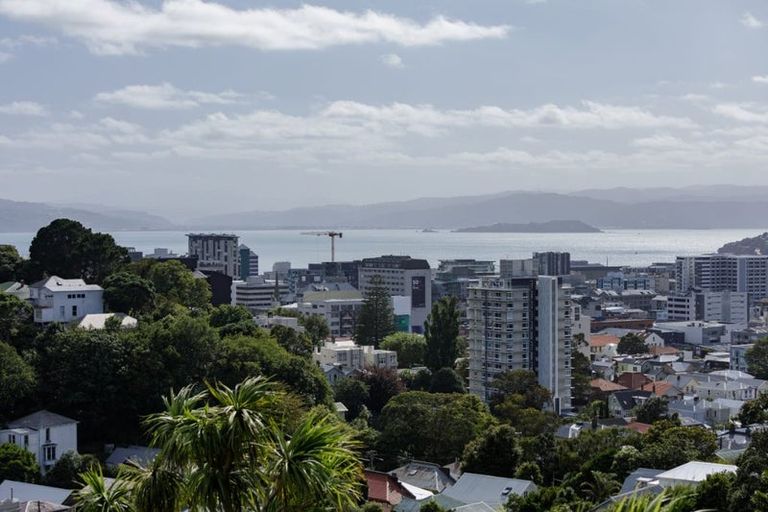 Photo of property in 9 Durham Crescent, Aro Valley, Wellington, 6021