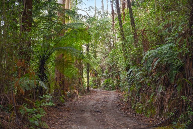 Photo of property in 251 State Highway 30, Tikitere, Rotorua, 3074