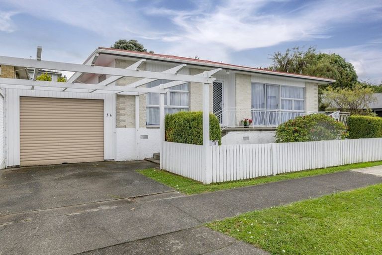 Photo of property in 36 York Street, Levin, 5510