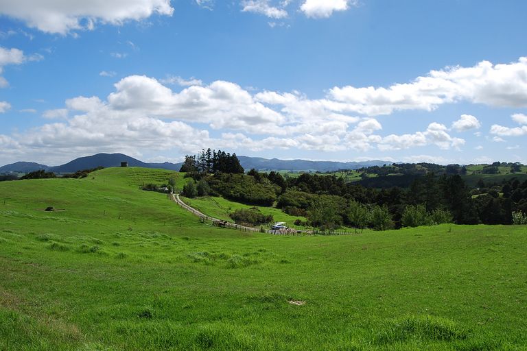 Photo of property in 62 Kiwi Lane, Kaiwaka, 0573