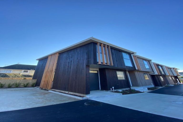 Photo of property in 30 Palm Grove, Berhampore, Wellington, 6023