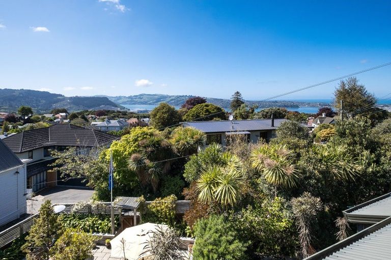 Photo of property in 17 Garfield Avenue, Roslyn, Dunedin, 9010