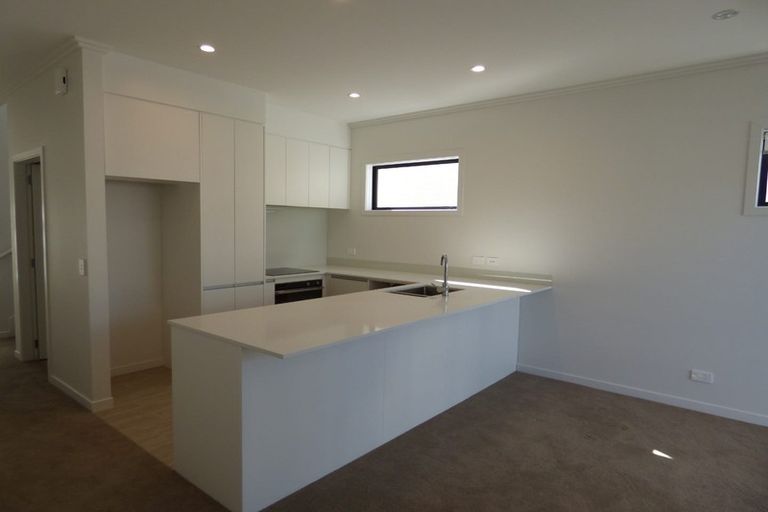 Photo of property in 14 Grey Warbler Road, Hobsonville, Auckland, 0616