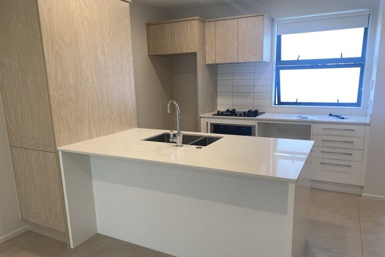 Photo of property in 14 Paterae Lane, Flat Bush, Auckland, 2019