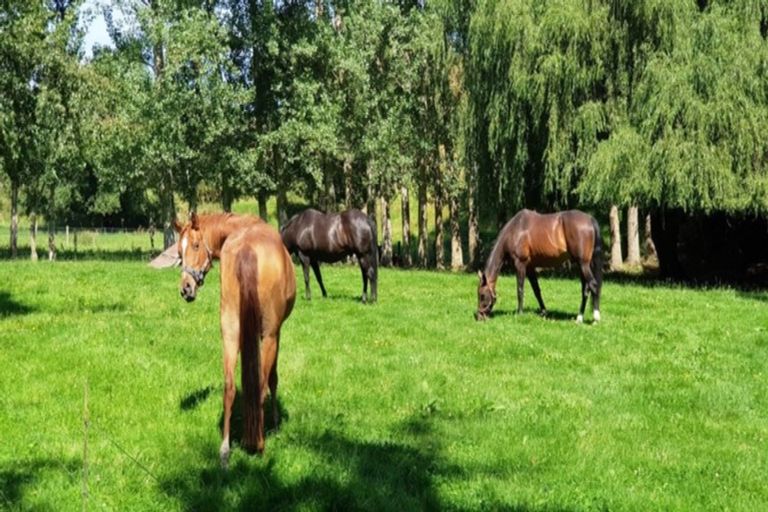 Photo of property in 114 Veritys Road, Maungati, Cave, 7984