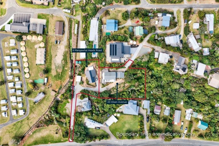 Photo of property in 43 Olsen Avenue, Mangawhai Heads, Mangawhai, 0505