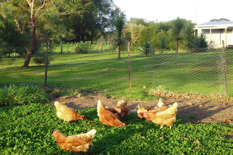 Photo of property in 11 Bevan Street, Woodville, 4920